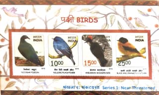 Shobhaphila's 2016 Indian Birds Indian Miniature Sheet Stamp ( 17th Oct 2016)