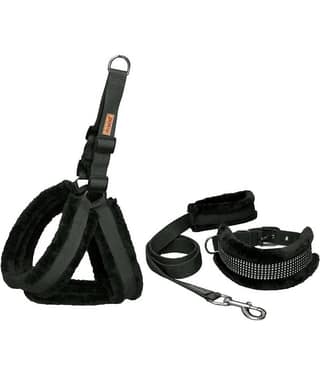 Petshop7 - Black Dog Combo (Medium)