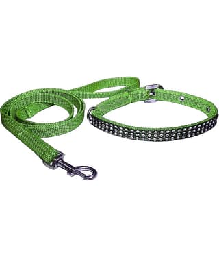 Petshop7 Green Combo (Collar Belt and Leash) ( X-Small )