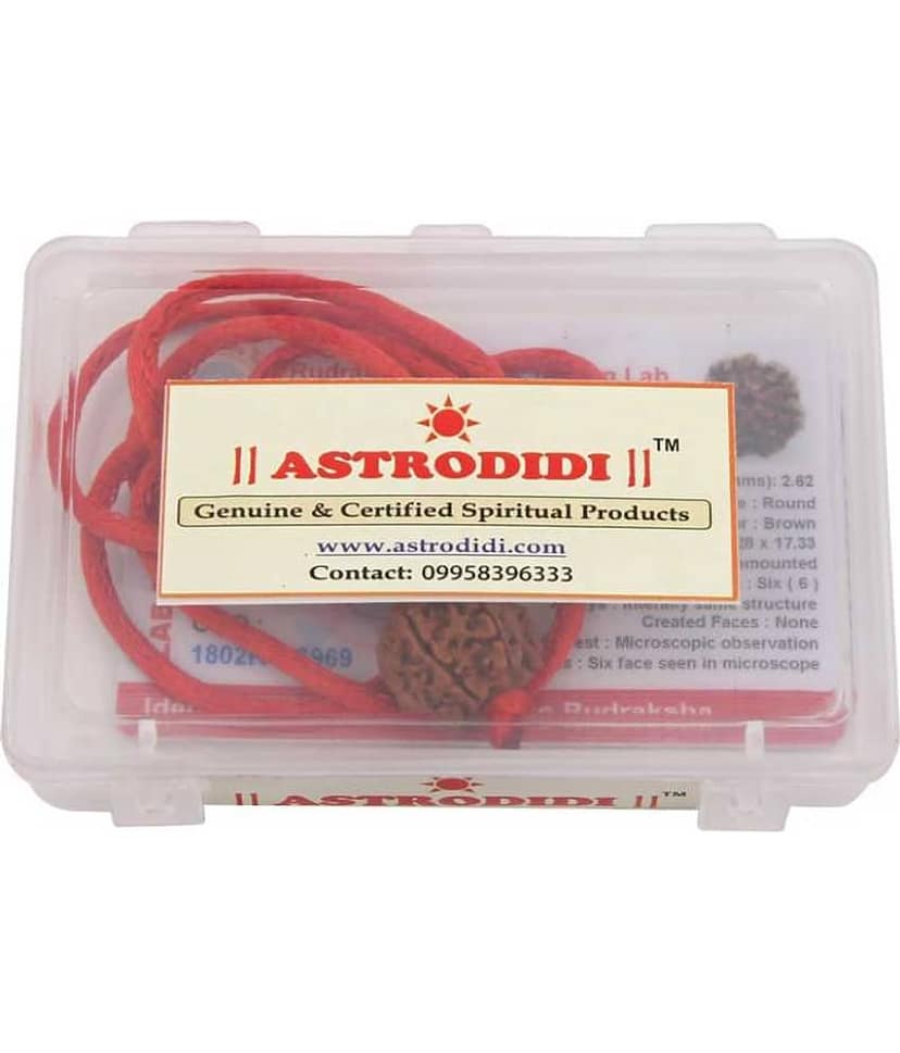 Astrodidi 6 Mukhi Rudraksha Pendant With Lab Certificate view 2