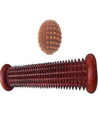 Cirise Wooden foot massager