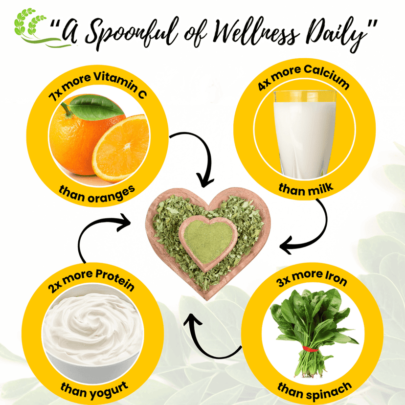 Moringa Powder view 2