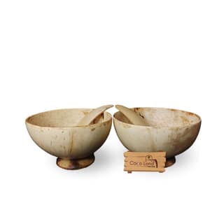 CocoLand Coconut Shell Ice Cream Pot Large Size 250 ml