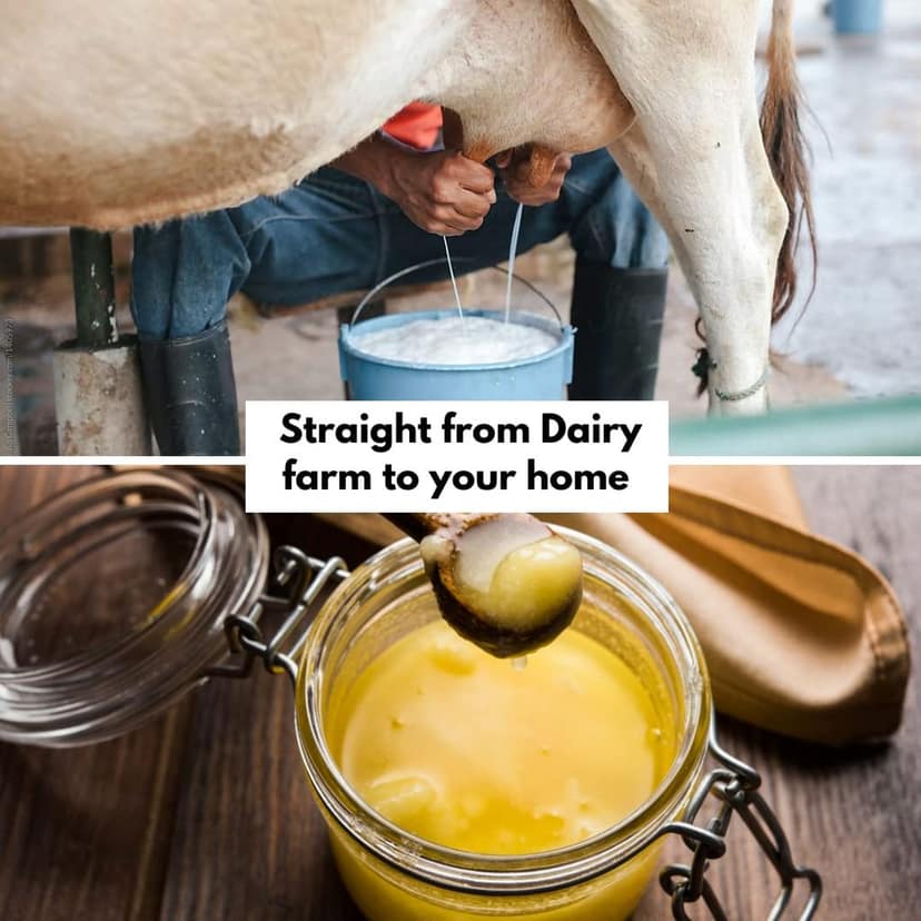 A2 Desi Cow Ghee view 6