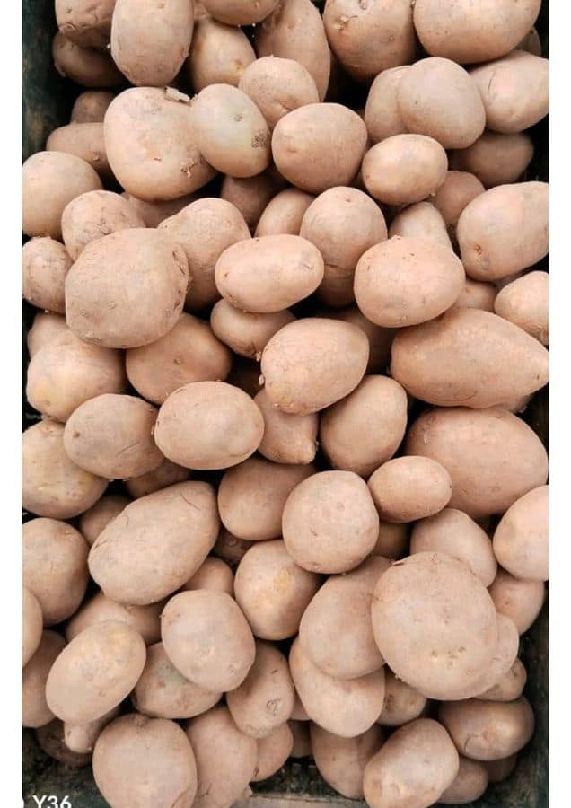 Potato - 1 kg view 2