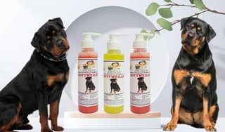 SWACCH Premium Shampoo for Rottweiler(200ML) (Combo Pack of 3) Jasmine, Lemon & Strawberry