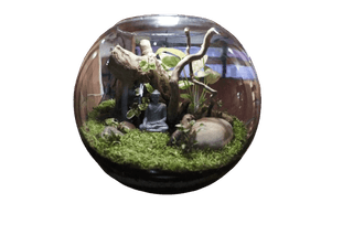 Buddha Dhyanam Terrarium