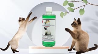 Swacch Shampoo Specially Formulated for Siamese (500ml) Neem Alovera