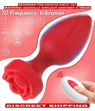 Powerful 10 Vibration Usb Rechargable Remote Control Vibrating Anal Plug For Men And Women By Kamahouse