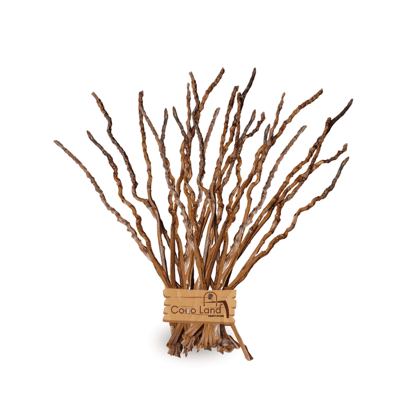 Coco land Coconut Bunch Stem Pack of 12 Varnished / Dry Flower Stem /Natural Flower Stem /Raw Craft