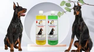 SWACCH Shampoo Specially FORMULATED for Doberman (1 Litre) (Combo Pack of 2) Lemon & NEEM ALOVERA