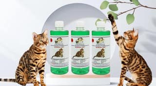 SWACCH Shampoo Specially Formulated for Bengal Cat (500ML) (Pack of 3) Neem Alovera