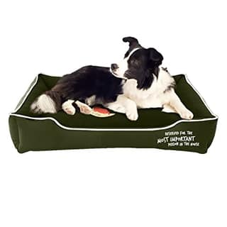 Captain Zack Dream Bedzz LXl 32In X 38In X 10.5In Green
