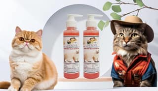 SWACCH Premium Shampoo for American Bobtail (200ML) (Pack of 2) Strawberry