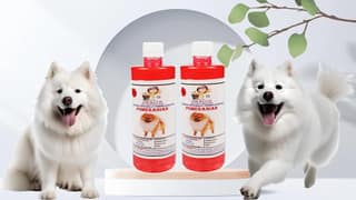 Swacch Shampoo Specially Formulated for Pomeranian (500ml) (Combo Pack of 2) Strawberry