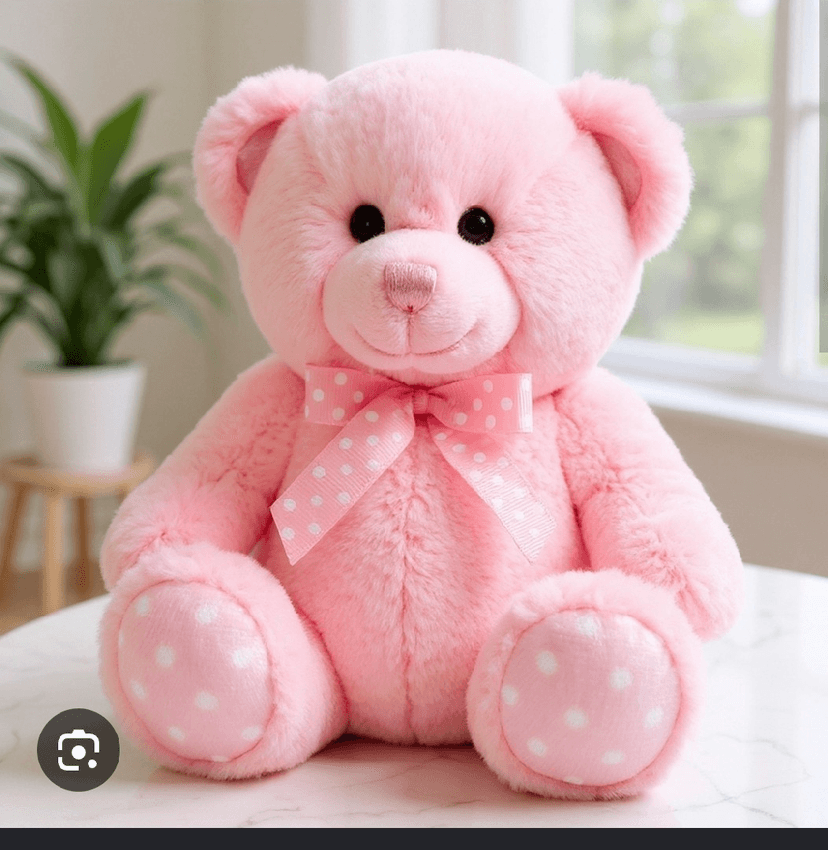 Teddy