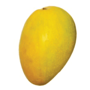 Mango - Banganpalle / Badami 1 kg