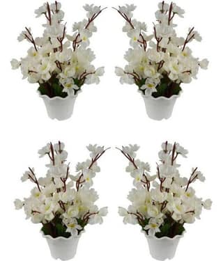 Green plant indoor Orchids Multicolour Flowers With Pot - Pack of 4