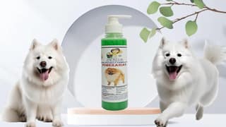 SWACCH Premium Shampoo for Pomeranian (200ML) NEEM ALOVERA