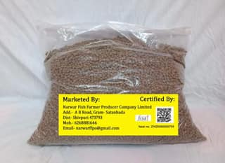 Fish Food