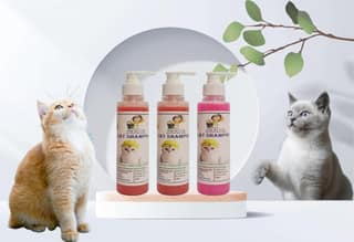 SWACCH Premium Shampoo for CAT Shampoo (200ML) (Combo Pack of 3) Strawberry, Jasmine & Rose