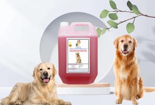 Swacch Shampoo Specially Formulated for Golden Retriever (5 Litre) Jasmine