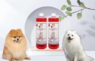 Shampoo Specially Formulated for Jasmine (Spitz 2 Litre)