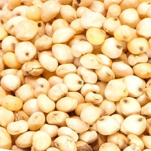 Millnuts - White Corn | Vellai Solam view 2