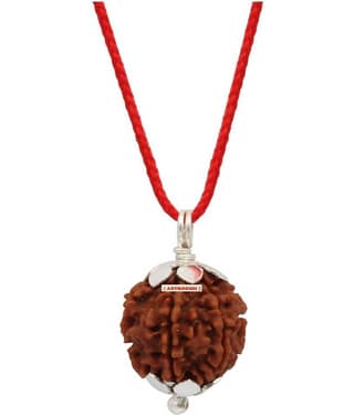 Astrodidi 4 Mukhi Four Face Rudraksha With Lab Report