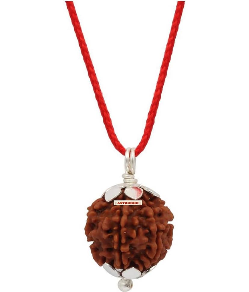 Astrodidi 4 Mukhi Four Face Rudraksha With Lab Report