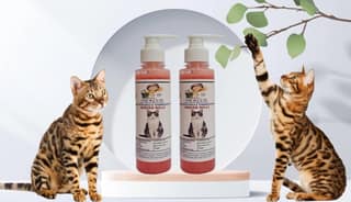 SWACCH Premium Shampoo for Indian Billi (200ML) (Pack of 2) Strawberry