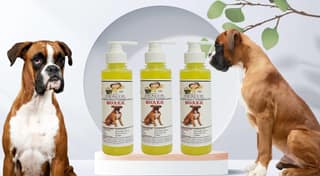 SWACCH Premium Shampoo for Boxer (200ML) (Pack of 3) Lemon