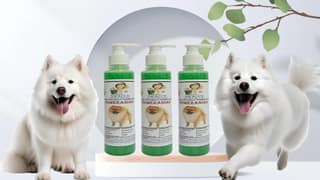 SWACCH Premium Shampoo for Pomeranian (200ML) (Pack of 3) NEEM ALOVERA