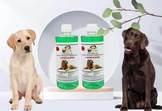 SWACCH Shampoo Specially FORMULATED for Labrador (500ML) (Pack of 2) NEEM ALOVERA