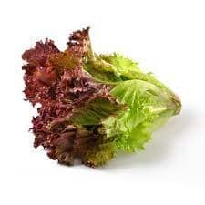 Fresh Red Lettuce 500 Gms