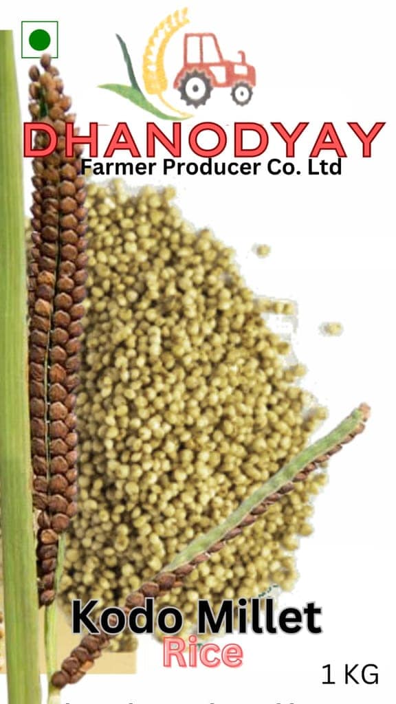 Kodo Millets view 5