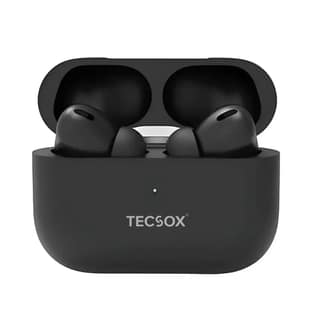 Order TecPod Pro Black Matt Bluetooth Earbuds | Deep Bass | Under 1000