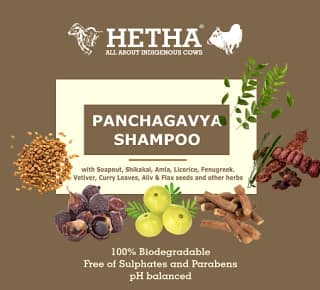 Panchagavya Shampoo (Size - 250ml) by HETHA