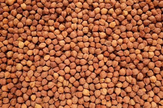 CHANA view 4