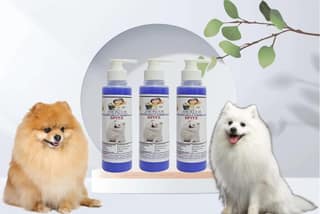 SWACCH Premium Shampoo for Spitz (200ML) (Pack of 3) Lavender