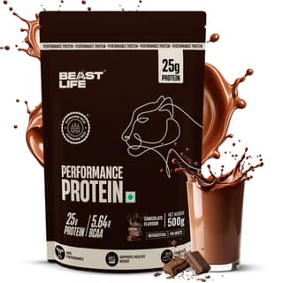 Performance Fermented Yeast Protein with Ultrasorb Tech | Chocolate | 500 g