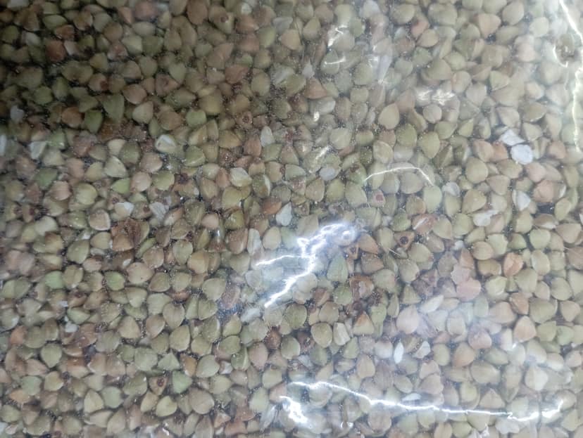 Kuttu gere