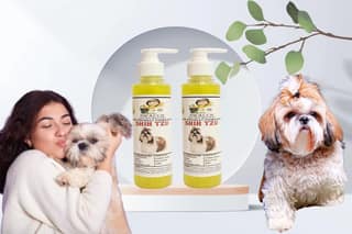 SWACCH Premium Shampoo for Shih TZU (200ML) (Pack of 2) Lemon