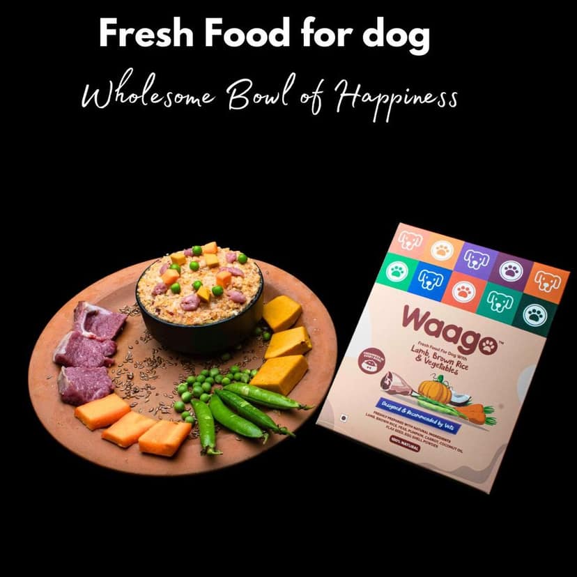 Waago Lamb brown rice and Vegetables Fresh Food for all Breed Dog 300gm view 4