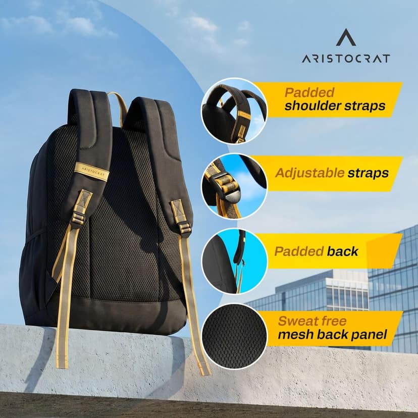 Lava 25L Laptop Backpack (Upto 17"), 2 Compartments, Black-Brown view 3
