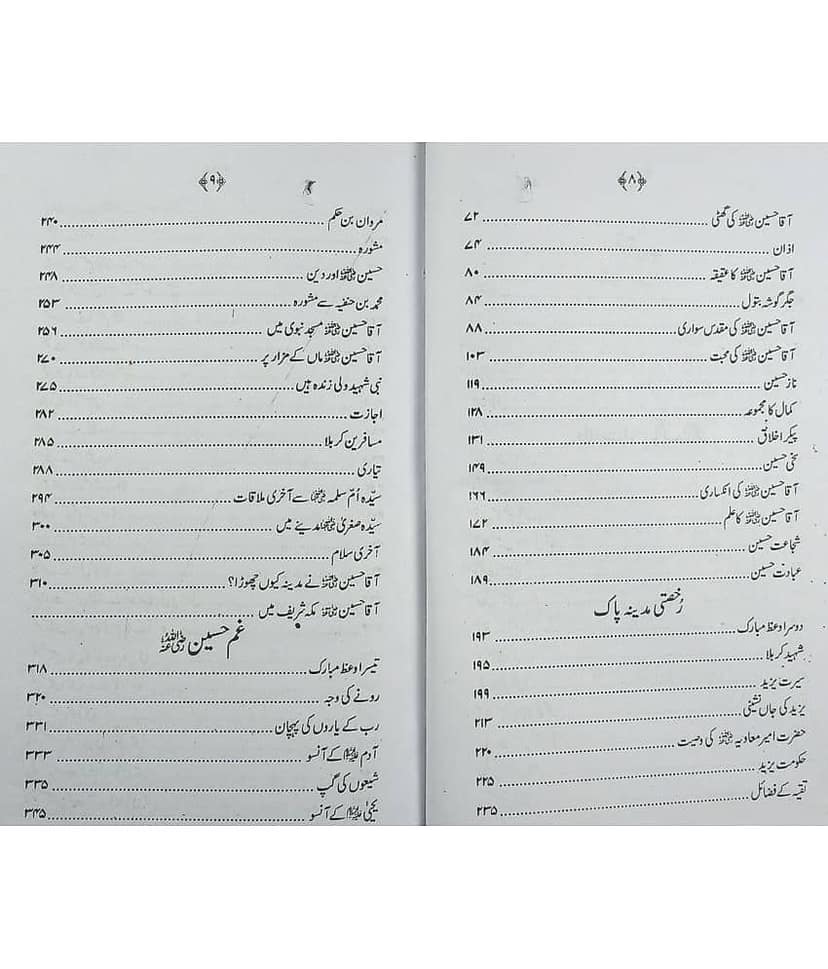 Sultan e Karbala 2 Vol set History about it view 2