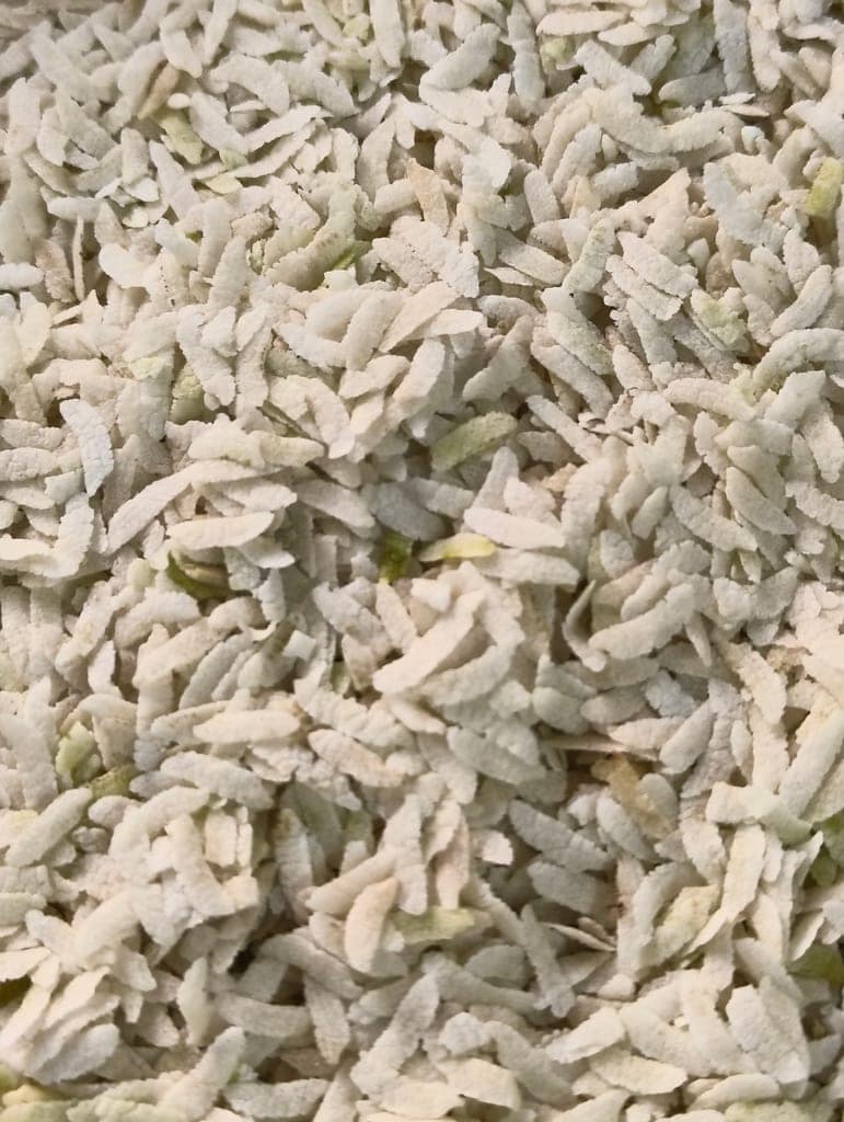 Katarni Poha view 3