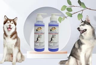 SWACCH Premium Shampoo for Siberian Husky (200ML) (Pack of 2) Lavender