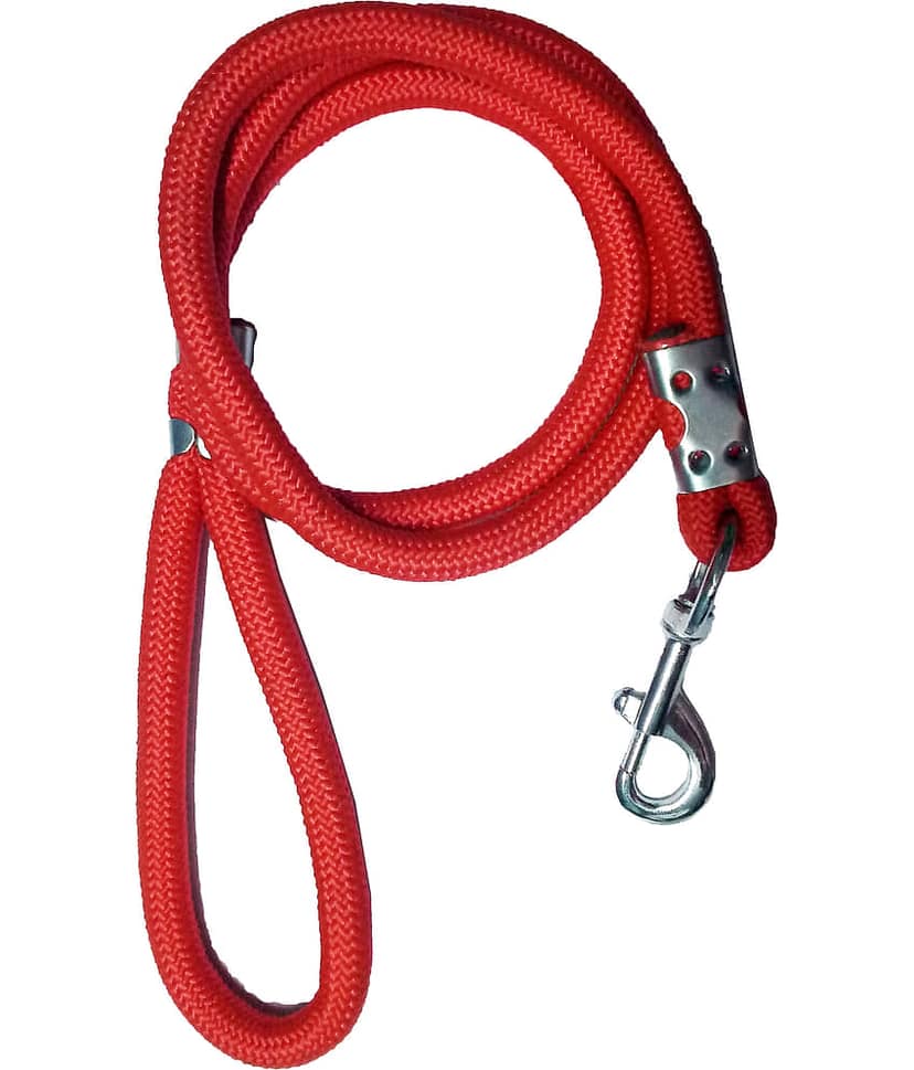 Petshop7 - Red Leash ( Medium ) view 2