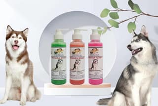 SWACCH Premium Shampoo for Siberian Husky (200ML) (Combo Pack of 3) NEEM ALOVERA, Jasmine & Rose